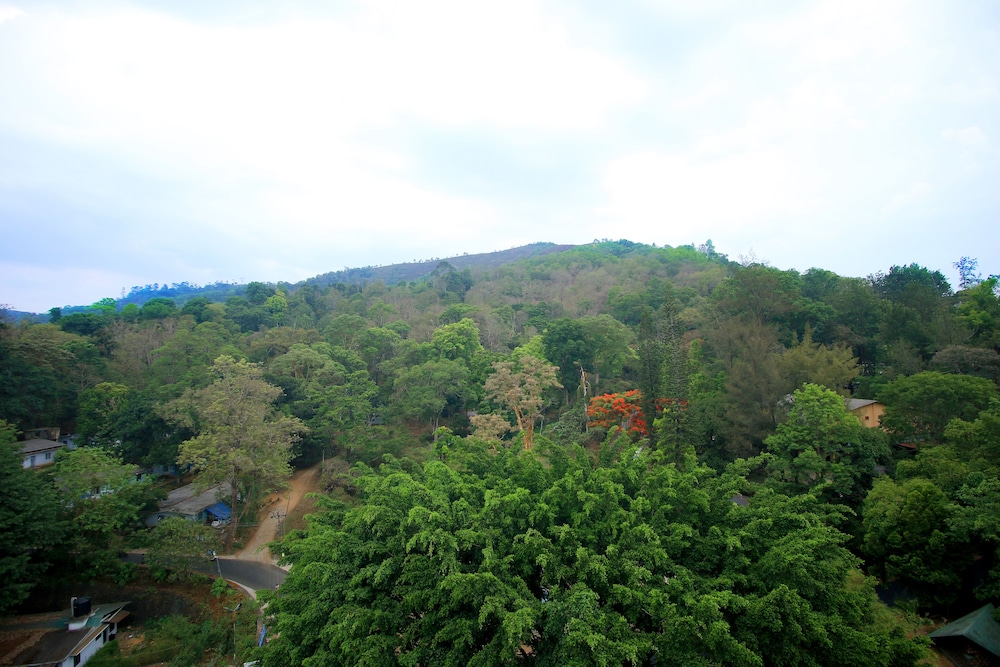 CINNAMON THEKKADY